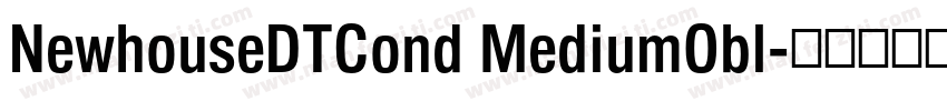NewhouseDTCond MediumObl字体转换